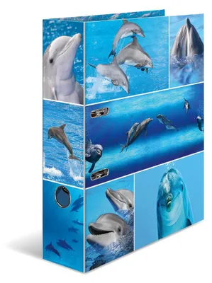 Immagine prodotto di Herma Cassetto portaoggetti A4 con motivi "Animali - Delfini" in cartone