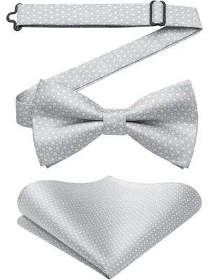 Produktbild von Herren Fliege mit Einstecktuch Set Grau Vorgebunden Polyester Geschenkbox