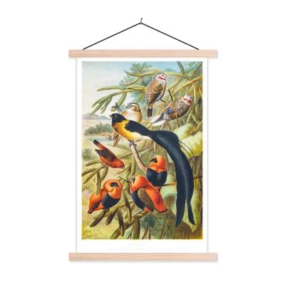 Produktbild von MuchoWow® Textilposter Antiker Vogeldruck Vögel in Harmonie 60x90 cm mit holzfarbenen Rahmen - Textil