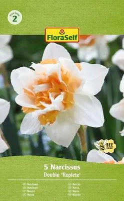 Obrázek produktu pro Narcisy plnokvěté FloraSelf 'Replete' 12/14 5 ks