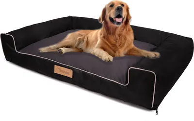 Immagine prodotto di Letto grande per cani divano per cani cuscino per cani cestino lavabile - colore nero - tappetino per cani taglia XL - 100x65 cm