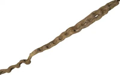 Produktbild von Cipo Escada Liane, Maße ca. 200 x 9-12cm | Deko-Liane