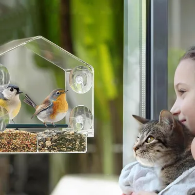 Produktbild von Vogelhaus - Futterhaus für das Fenster - Transparent - Acryl