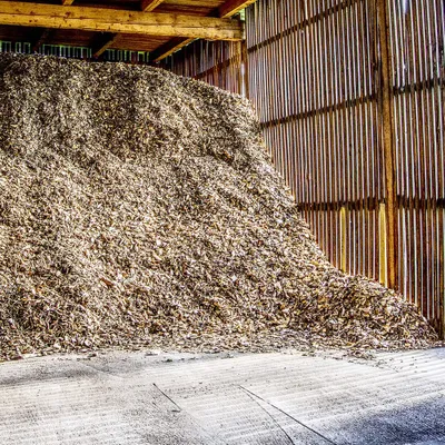 A large pile of wood chips inside a structure with wooden walls and ceiling.