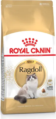 Obrázok produktu pre Royal Canin Ragdoll Adult, Dospelý, Ragdoll, 2 kg