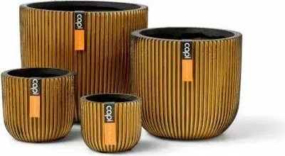 Zdjęcie produktu dla Capi Europe - Pojemnik na miksy z kulką Groove - złoty - 41x19