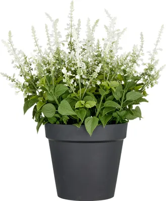Produktbild von Kunstpflanze Ziersalbei H 65 cm weiss
