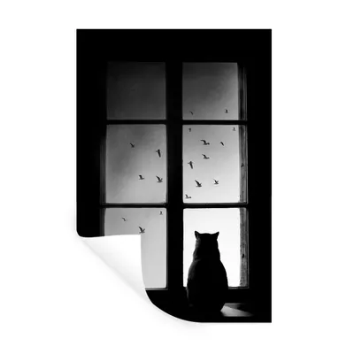 Produktbild von MuchoWow® Wandtattoo Wandsticker Wandaufkleber Katze - Tiere - Schwarz und weiß - Fenster 80x120 cm Selbstklebend und Repositionierbar - Repositionierbar - Wasser abweisend