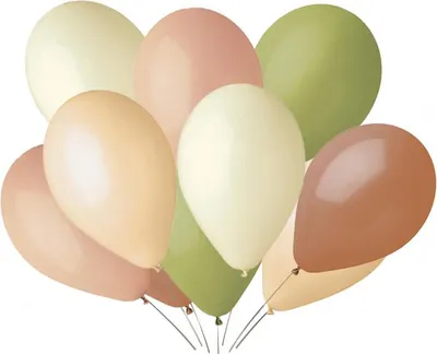 Image de Ballons boho pastel 10 pouces 10 pièces