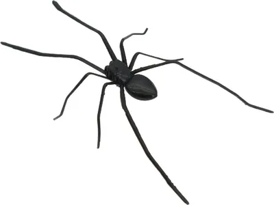 Produktbild von 1/2 Stück magnetische 3D-Spinnendekoration, gruselige realistische Riesenspinne, Halloween-Streich-Requisiten, Garagentor, Briefkasten, Schließfach, Kühlschrankmagnet, gefälschte Spinne