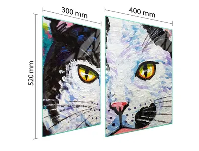 Imagen del producto de Placa de vidrio para vitrocerámica, dimensiones 70x52 cm, marca CAT