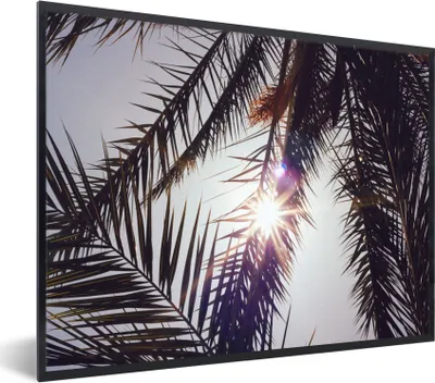 Produktbild von MuchoWow® Gerahmtes Poster Palmwedel - Sonne - Sommer 40x30 cm - Poster mit Schwarzem Bilderrahmen Wandposter Rahmen Foto Bilder - Kunstposter - Wanddekorationen