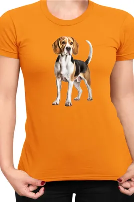 Produktbild von Damen T-Shirt Dogs Breeds Beagle Dog Breed 007, Lady L / Orange