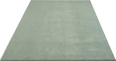 Produktbild von Teppich Kurzflor Weich Wohnzimmerteppich Anti-Rutsch, 60x110 cm