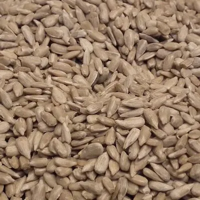 Productafbeelding van Duvo+ Zonnebloempitten Gepeld 25KG