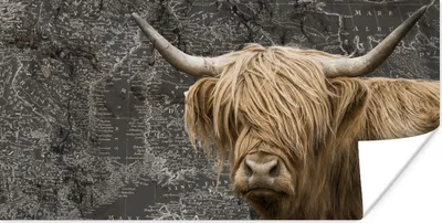 Produktbild von MuchoWow® Poster Schottische Highlander - Weltkarte - Tiere 40x20 cm - Poster für die Wand - Poster Schlafzimmer