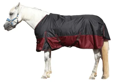 Productafbeelding van Pferddecke 1200D met 200g/m² vulling, waterdicht en ademend, zwart-rood 160cm