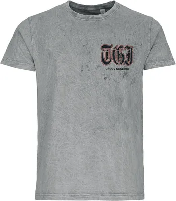 Produktbild von The Ghost Inside T-Shirt Herren Tiger Tat hellgrau XL