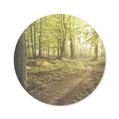 Produktbild von MuchoWow® Mauspad Mousepad Wald - Weg - Sonnenaufgang 50x50 cm - Mousepads - Maus Mat - Pad - Mausunterlage - Vinyl