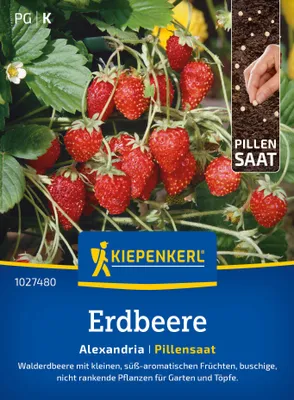 Produktbild von Kiepenkerl Erdbeersamen Pillensaat Alexandria Fragaria vesca 30 Pflanzen
