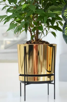 Produktbild von Kerd Blumentopf mit Untersetzer und Metallständer Größe 12 cm