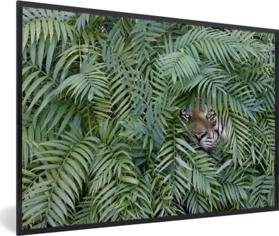 Produktbild von MuchoWow® MuchoWow® Gerahmtes Poster Versteckter Tiger zwischen den Pflanzen 60x40 cm - Poster mit zchwarzem Bilderrahmen - Printing - Wanddeko Schlafzimmer
