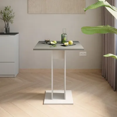 A square dining table with a white base and anthracite top, set in a modern room with a plant and a cabinet.