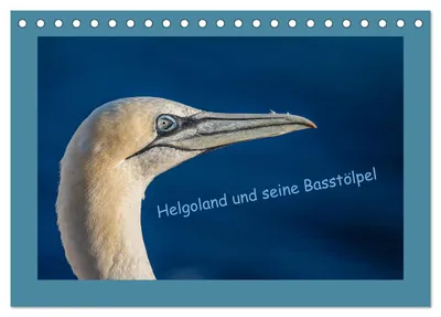 Produktbild von Helgoland und seine Basstölpel (Tischkalender 2027 DIN A5 quer), CALVENDO Monatskalender