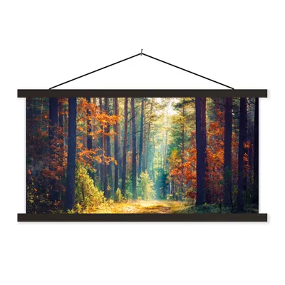 Produktbild von MuchoWow® Textilposter Wald - Sonne - Natur - Herbst 60x30 cm mit schwarzem Rahmen - Textilien