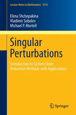 Immagine prodotto di Singular Perturbations