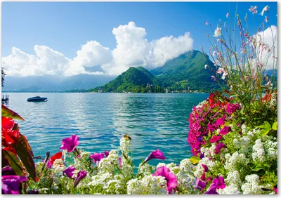 Produktbild von Tulup® Leinwandbild - 100x70 cm - Wandkunst - Drucke auf Leinwand - Leinwanddruck  - Landschaften - Mehrfarbig - Blumen am See