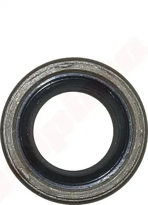 Immagine prodotto di Paraolio per Partner K1250 17X28X5 ( 503 26 02-05 )
