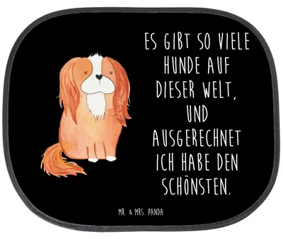 Produktbild von Mr. & Mrs. Panda Sonnenblende Auto Hund Cavalier King Charles Spaniel - Schwarz - Geschenk, Spruch, Sprüche, Sonnenschutz, Fürs, für, Bester, Autosonnenschutz, saugnapf