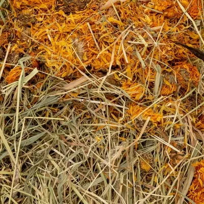 Productafbeelding van Vita Herbal Siano Z Nagietkiem voor knaagdieren en konijnen, Vitapol, 800g