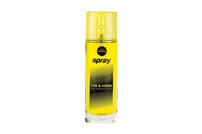 Produktbild von Lufterfrischer Spraydose Vanilia 50ml