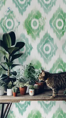 Produktbild von Coloray Fototapete 250x104 cm Vlies-Fototapete - Textil geometrisch