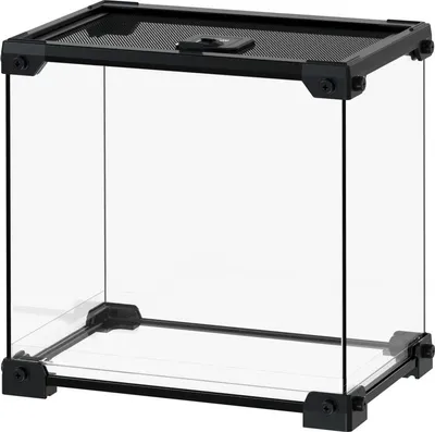 A clear, studio shot of an empty glass terrarium with a black mesh lid and black corner supports.