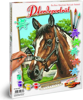 Image de Noris Spiele Malen nach Zahlen - Portrait de cheval ; 609240381