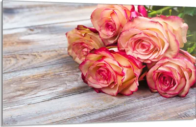 Produktbild von Glasschutzplatte für den Herd 80x52 Rose