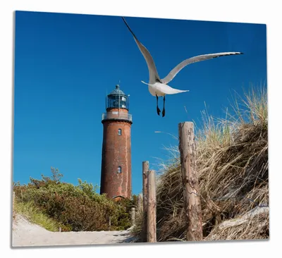 Produktbild von Wallario Herdabdeckplatte aus Glas, Größe 60 x 52 cm 1-teilig, Motiv Möwe am Strand mit Leuchtturm