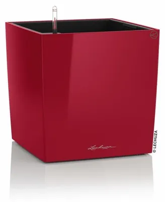 Immagine prodotto di Fioriera LECHUZA CUBE Premium 50 Scarlet Red high gloss | fioriera con sistema di irrigazione | superficie high gloss | 49 x 49 x 49,5 cm | 16567