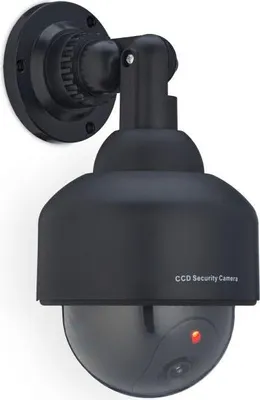Immagine prodotto di Stampo per cupola fittizia per fotocamera nera