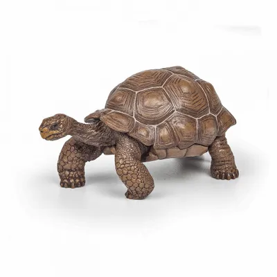 Obrázek produktu pro Papo Figurina Testoasa Galapagos