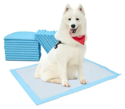 Immagine prodotto di Peviasot, 120 pezzi di assorbenti per cuccioli, 60x60 cm, tappetini per toilette per cani, assorbenti usa e getta
