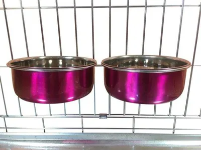 Produktbild von Hundeboxen mit Rasurbecken, Größe M, 0,9 Liter, rosa