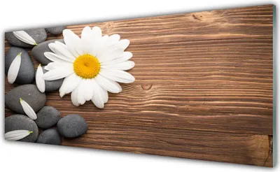 Produktbild von Acrylglasbilder 125x50 Wandbild Druck Gänseblümchen Steine Pflanzen