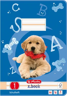 Produktbild von 5 Herlitz Schulhefte / DIN A4 / 16 Blatt / Lineatur 01