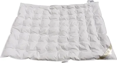 Produktbild von Betten Hofmann Luxus Kinder Sommer Daunendecke Punktstepp 100x135 cm 100% Daunen