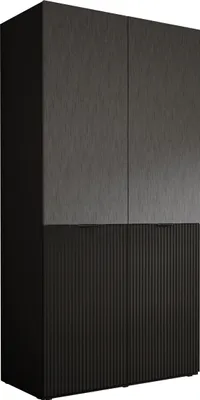 Obrázek produktu pro Šatní skříň, grafitově černá, 100 x 200 x 51 cm