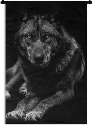 Produktbild von MuchoWow® Wandteppich Wandbehang Tiere - Wolf - Schwarz - Weiß - Porträt 90x135 cm Tapisserie Dekoration Wandtuch - Baumwolle - Wandskulptur